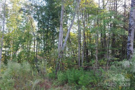 2320 Dobbins Court Vale NC 28168