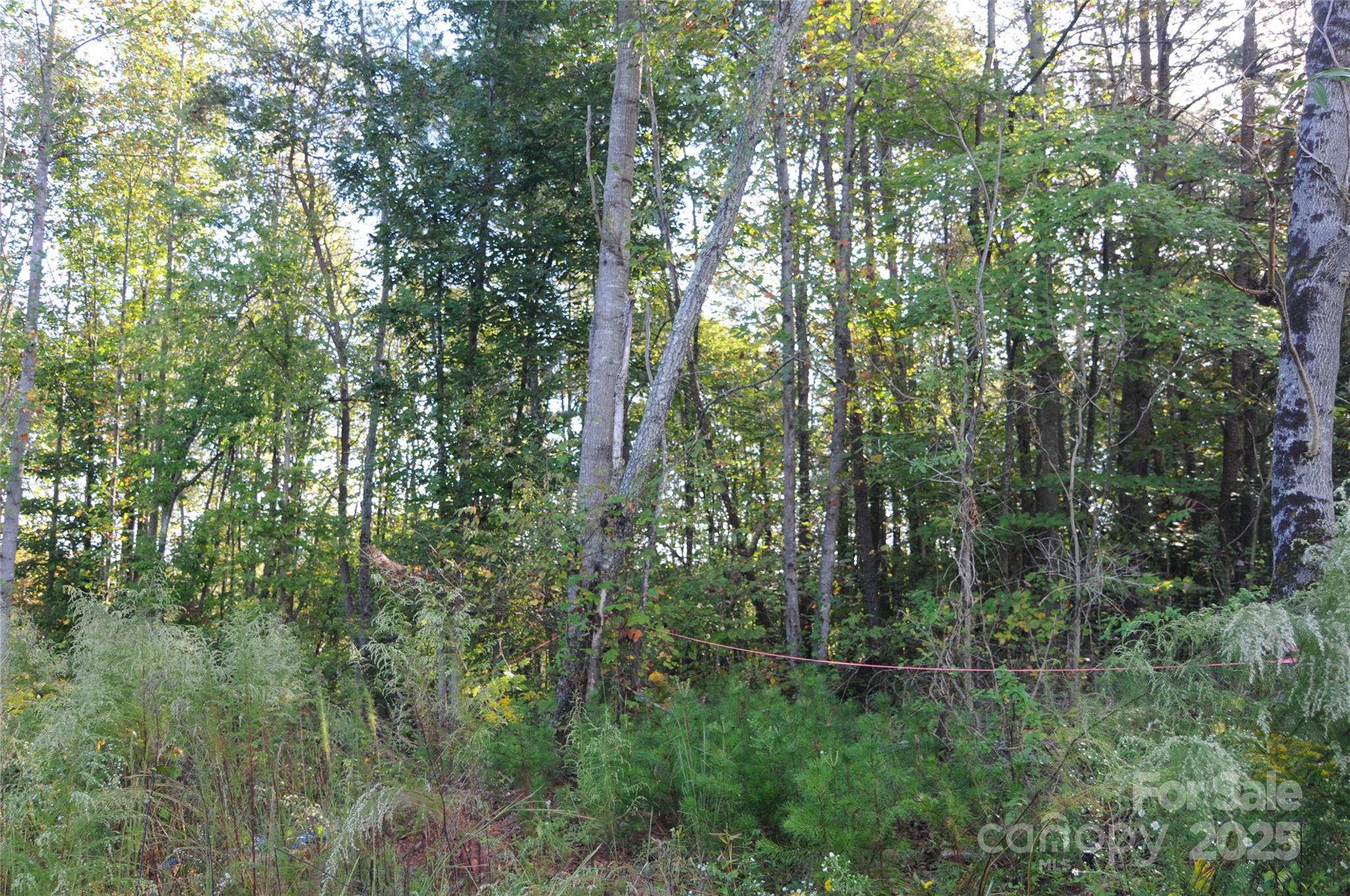 2320 Dobbins Court Vale NC 28168