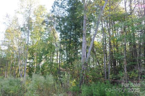 2320 Dobbins Court Vale NC 28168