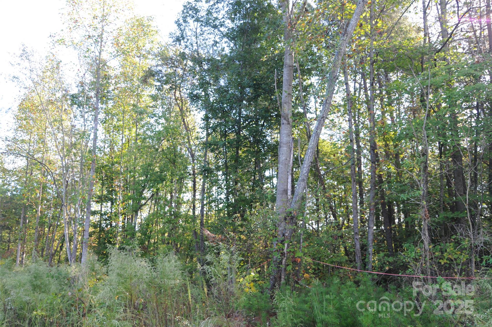 2320 Dobbins Court Vale NC 28168