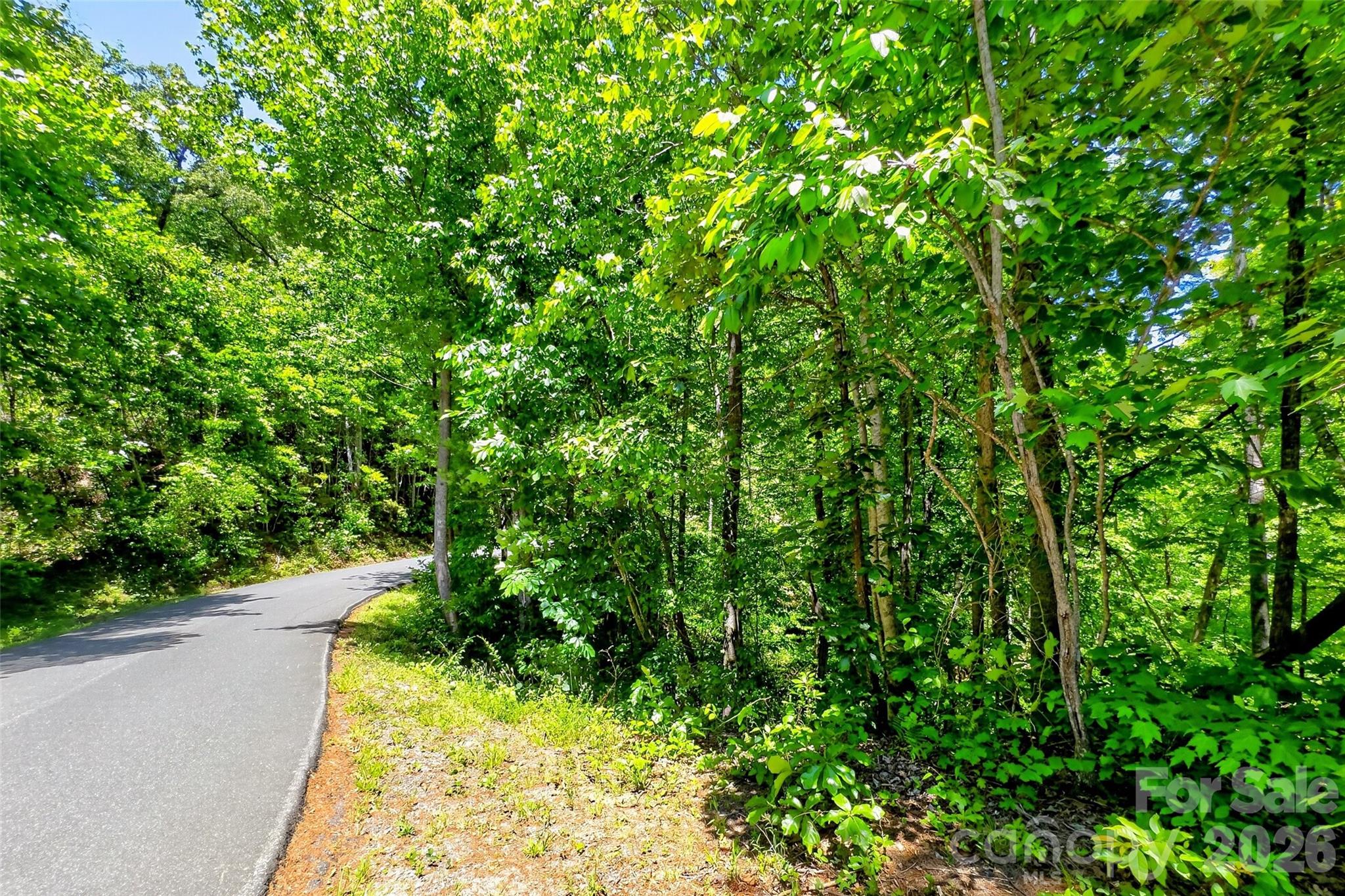999 Justice Drive Lake Lure NC 28746