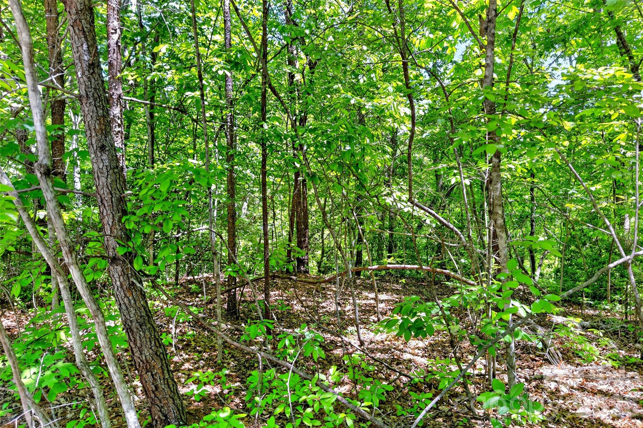 999 Justice Drive Lake Lure NC 28746
