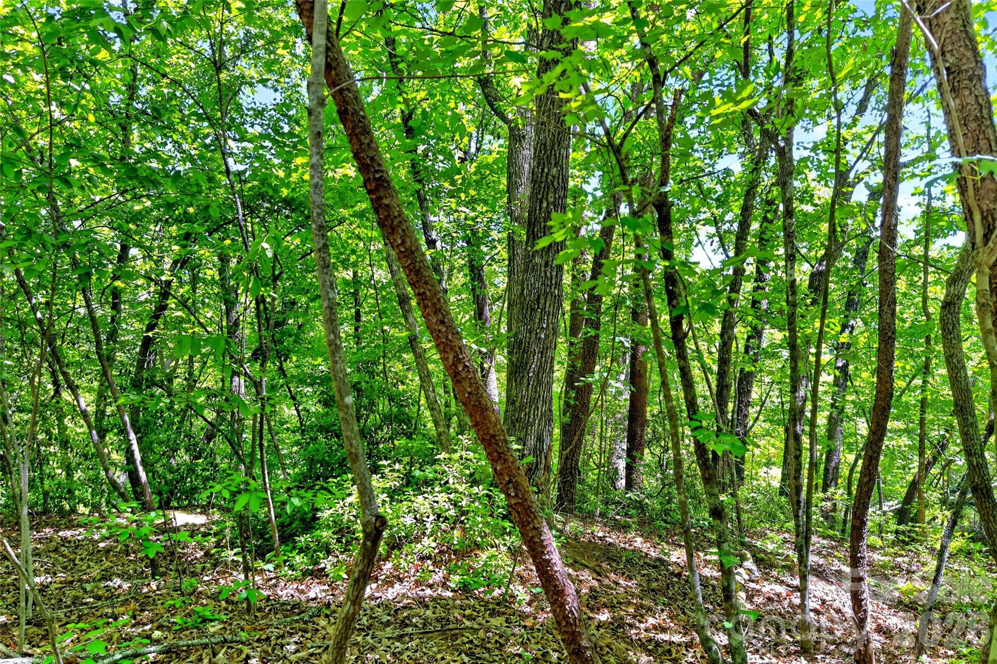 999 Justice Drive Lake Lure NC 28746