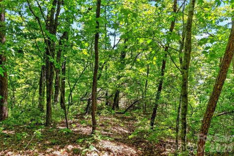 999 Justice Drive Lake Lure NC 28746