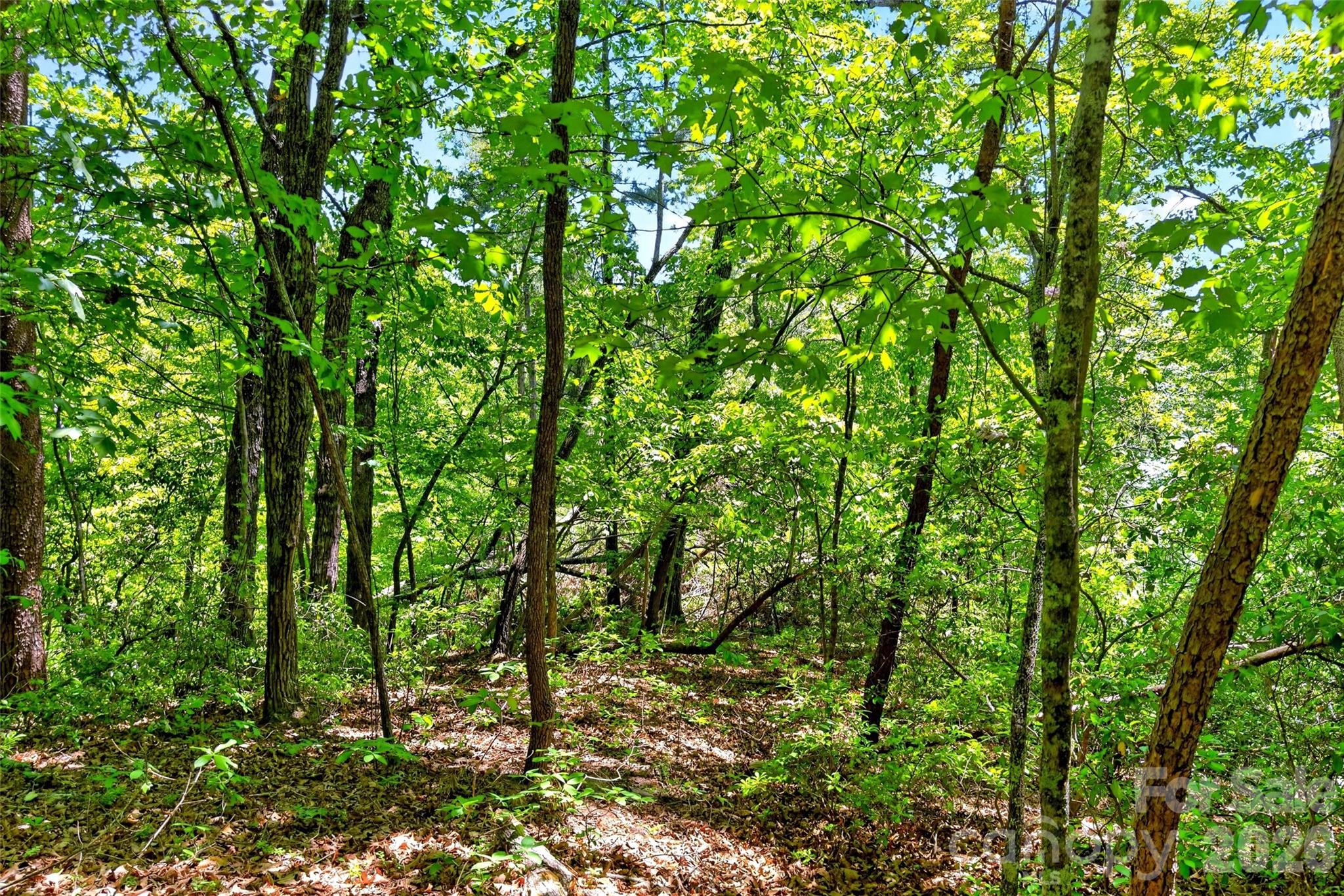 999 Justice Drive Lake Lure NC 28746