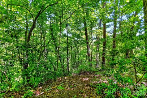 999 Justice Drive Lake Lure NC 28746