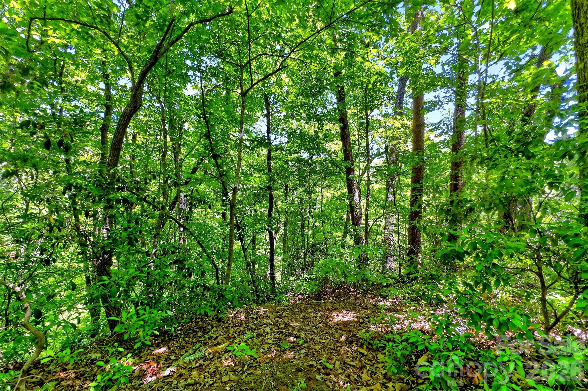 999 Justice Drive Lake Lure NC 28746