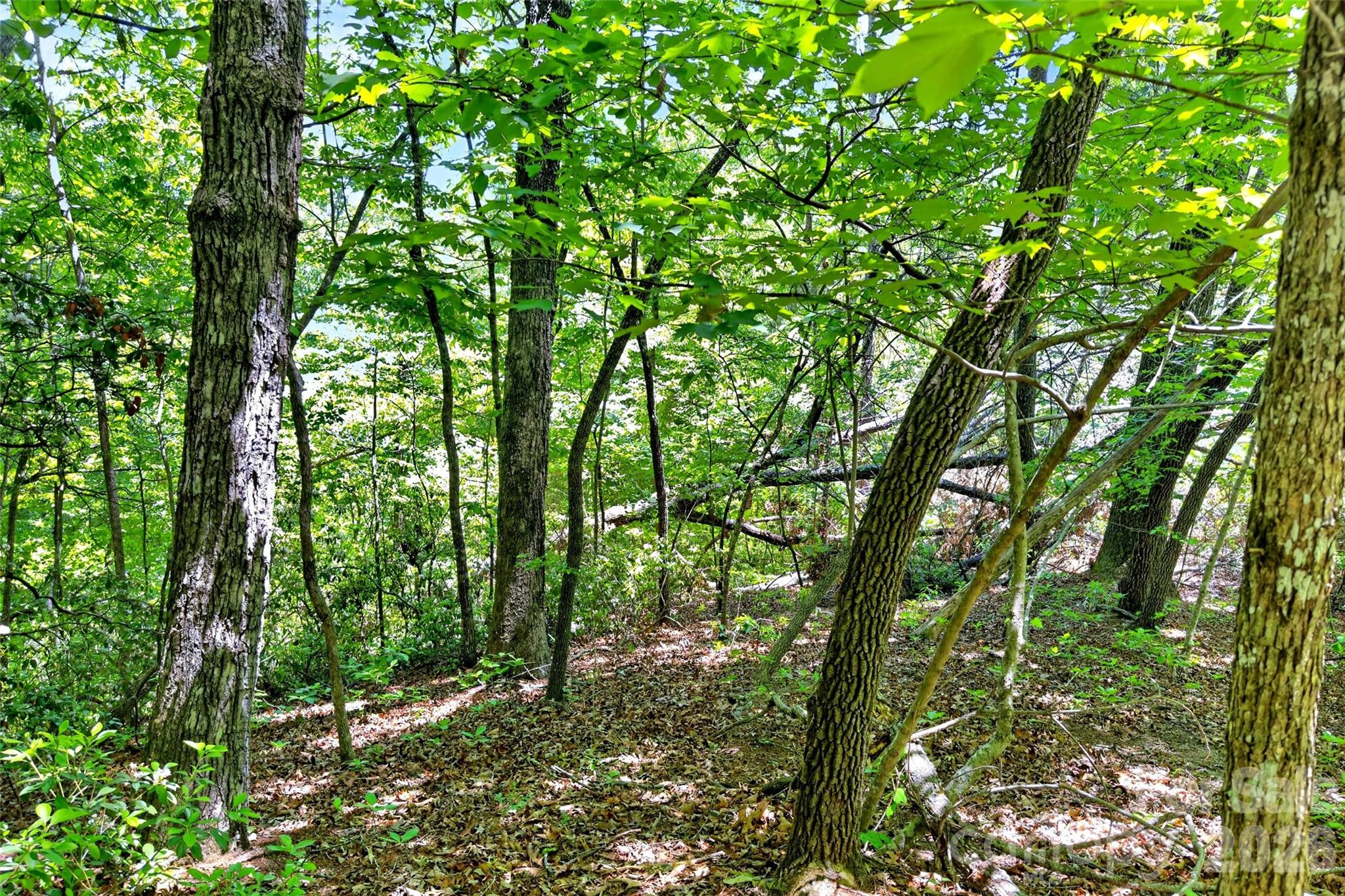 999 Justice Drive Lake Lure NC 28746