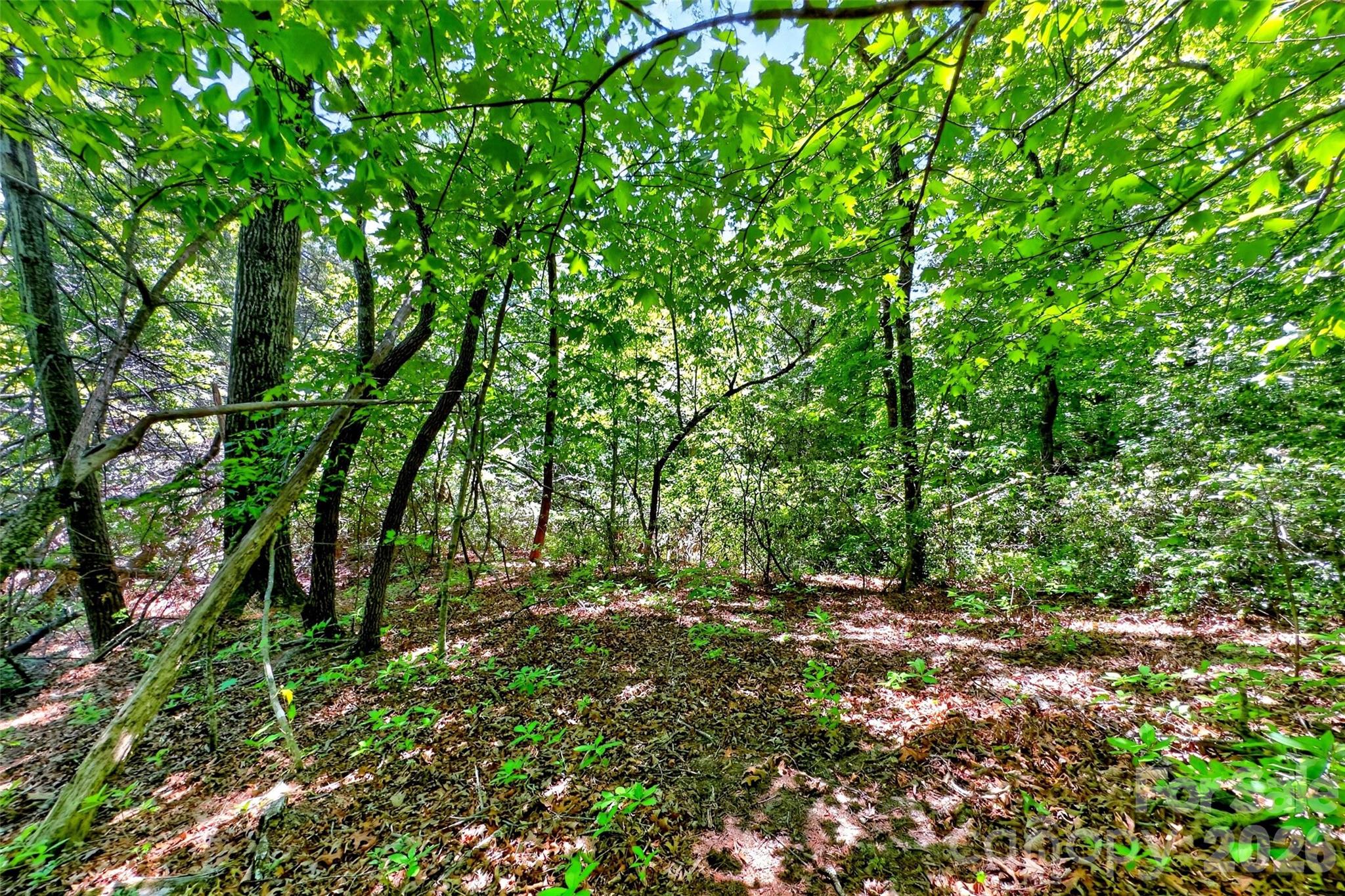 999 Justice Drive Lake Lure NC 28746