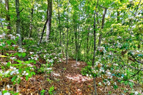 999 Justice Drive Lake Lure NC 28746