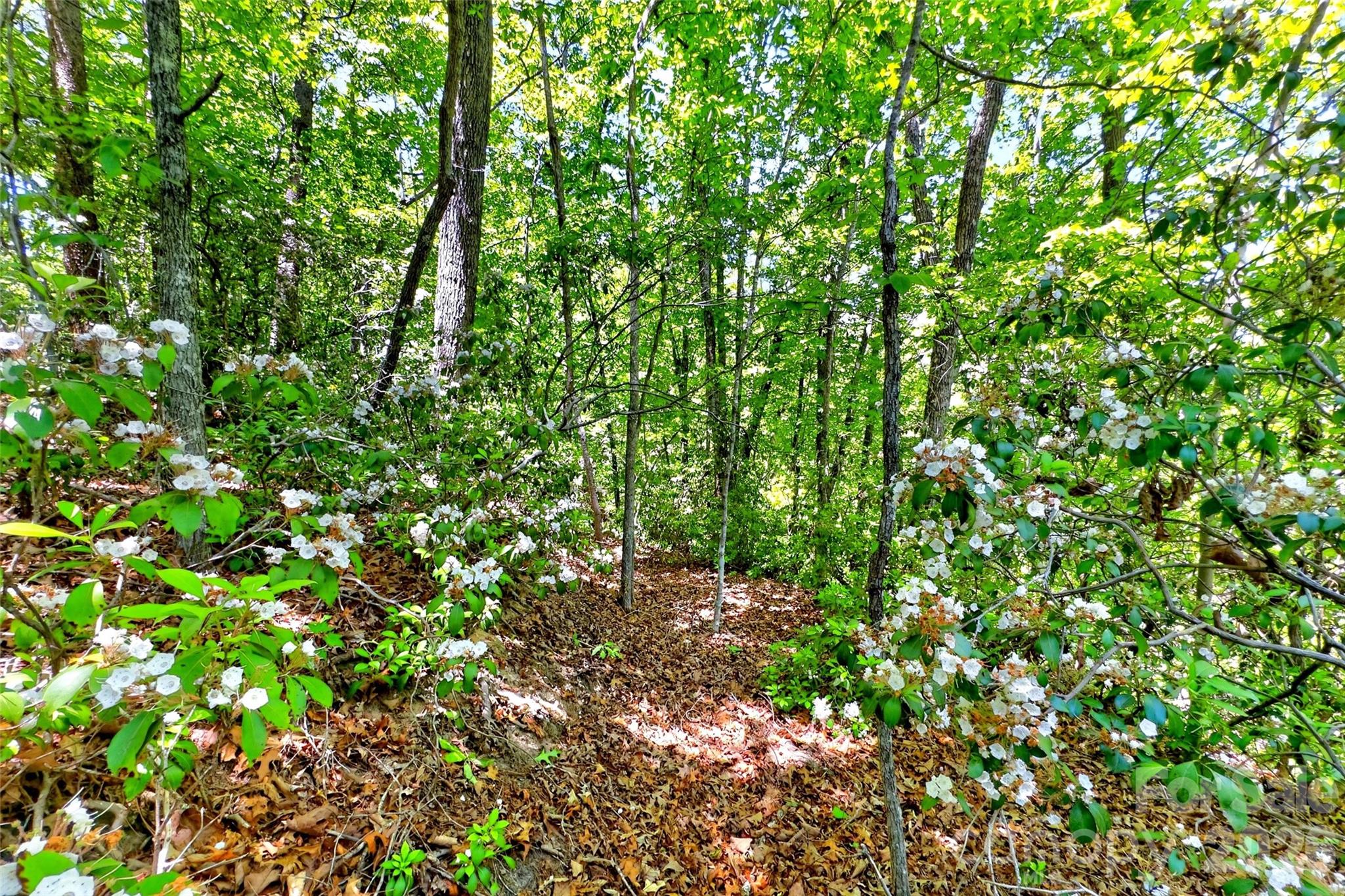 999 Justice Drive Lake Lure NC 28746