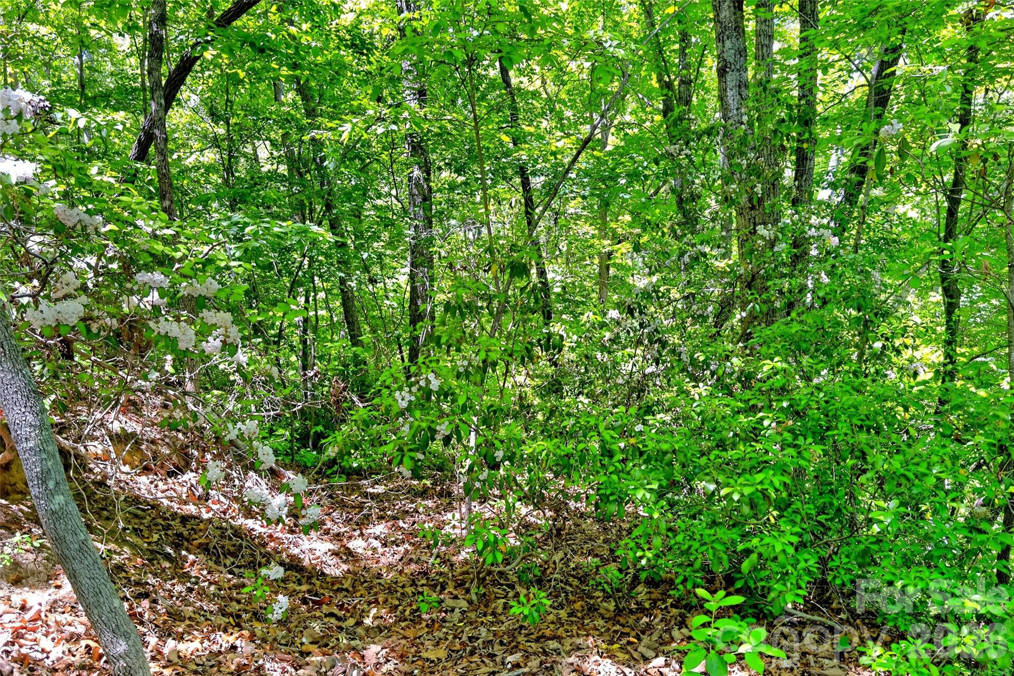 999 Justice Drive Lake Lure NC 28746