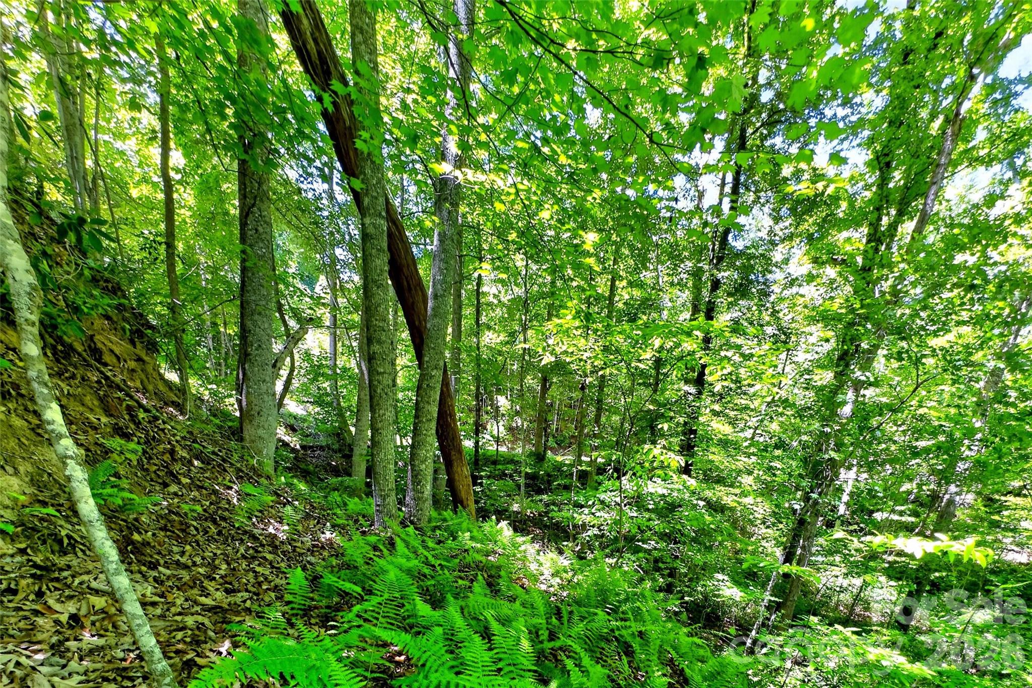 999 Justice Drive Lake Lure NC 28746