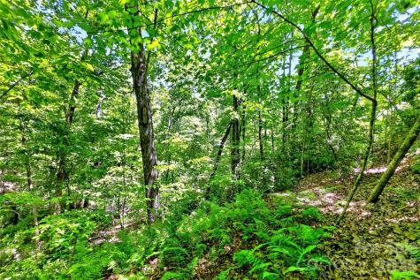 999 Justice Drive Lake Lure NC 28746