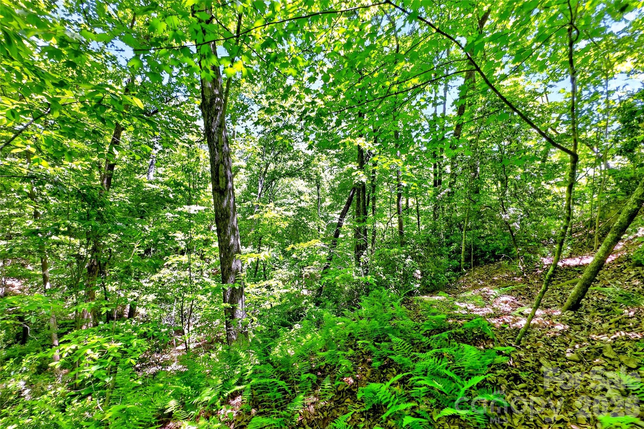 999 Justice Drive Lake Lure NC 28746
