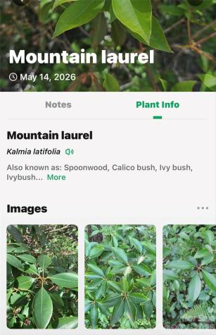 999 Justice Drive Lake Lure NC 28746