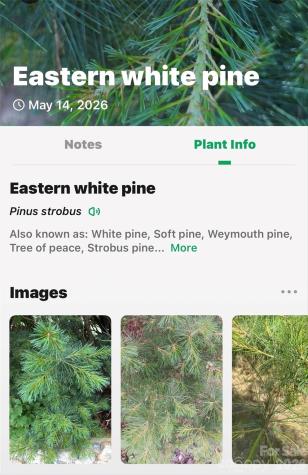 999 Justice Drive Lake Lure NC 28746