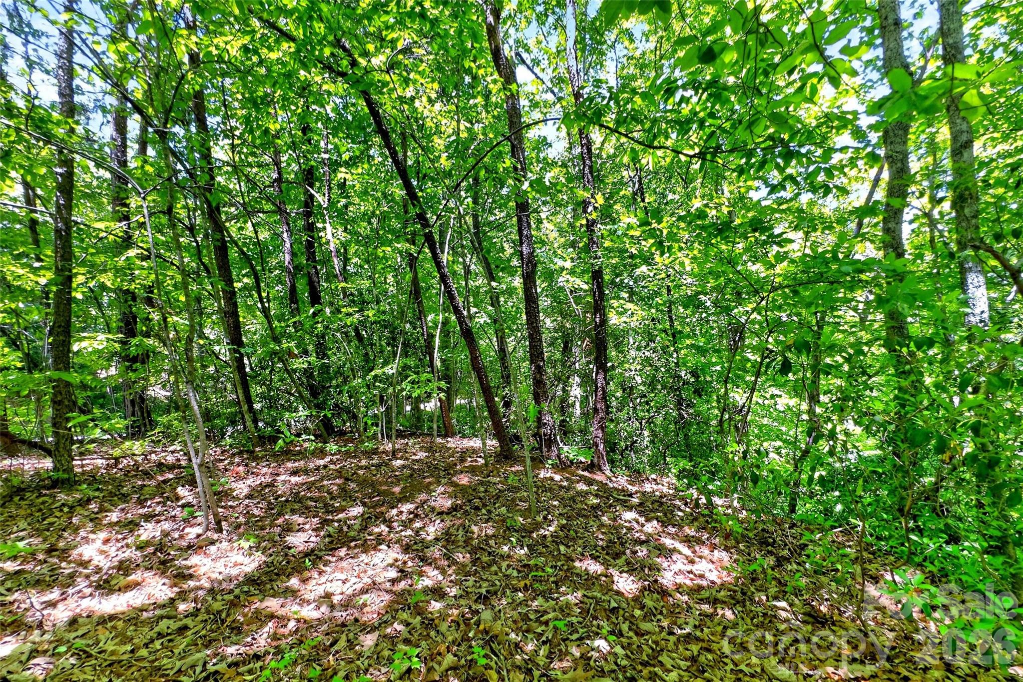 999 Justice Drive Lake Lure NC 28746