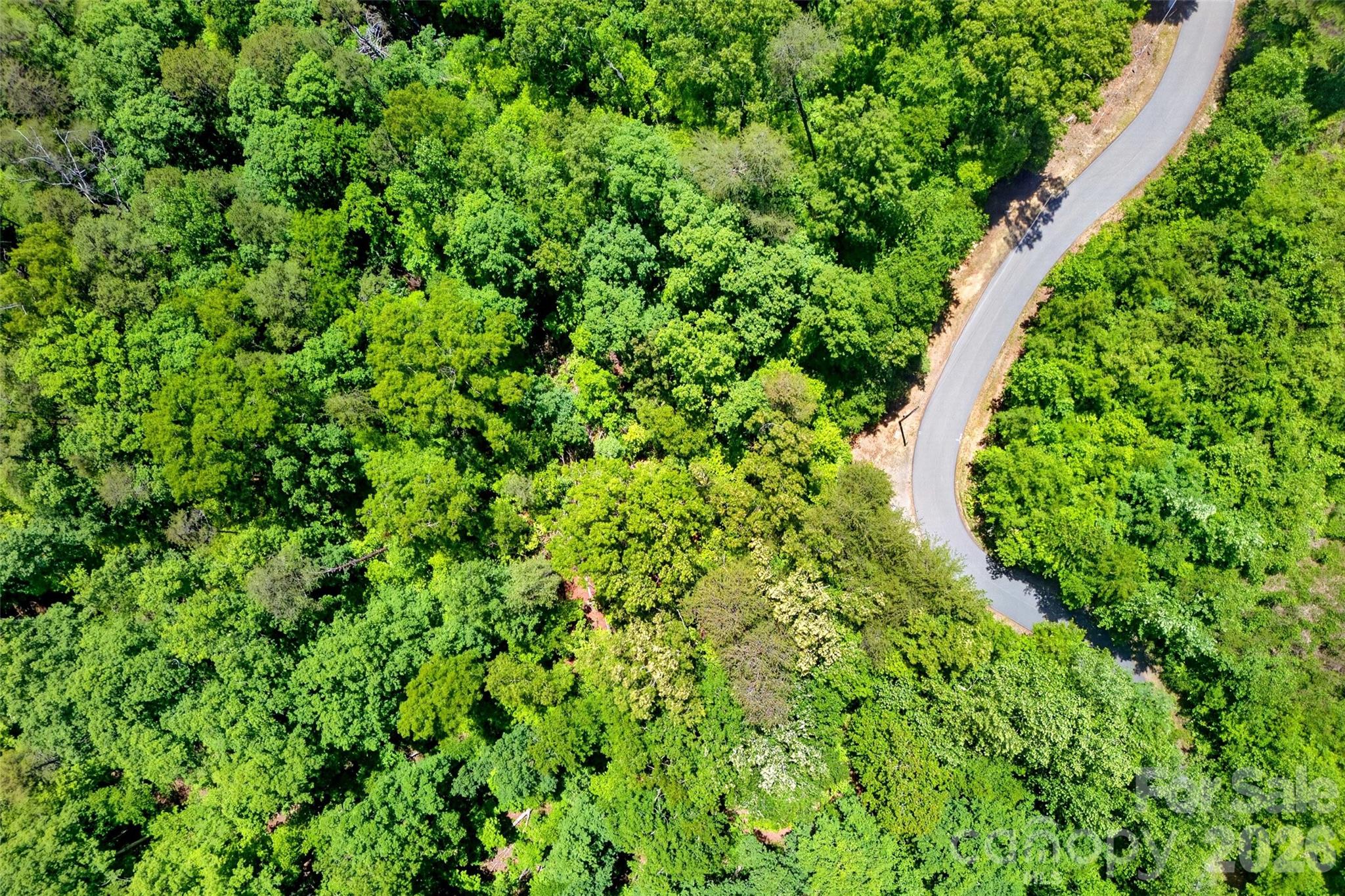 999 Justice Drive Lake Lure NC 28746