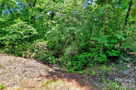 999 Justice Drive Lake Lure NC 28746