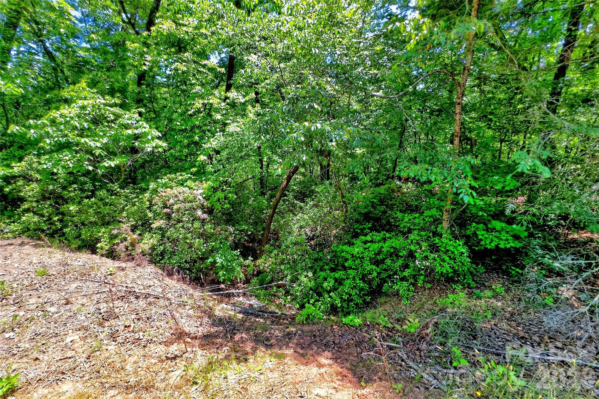 999 Justice Drive Lake Lure NC 28746