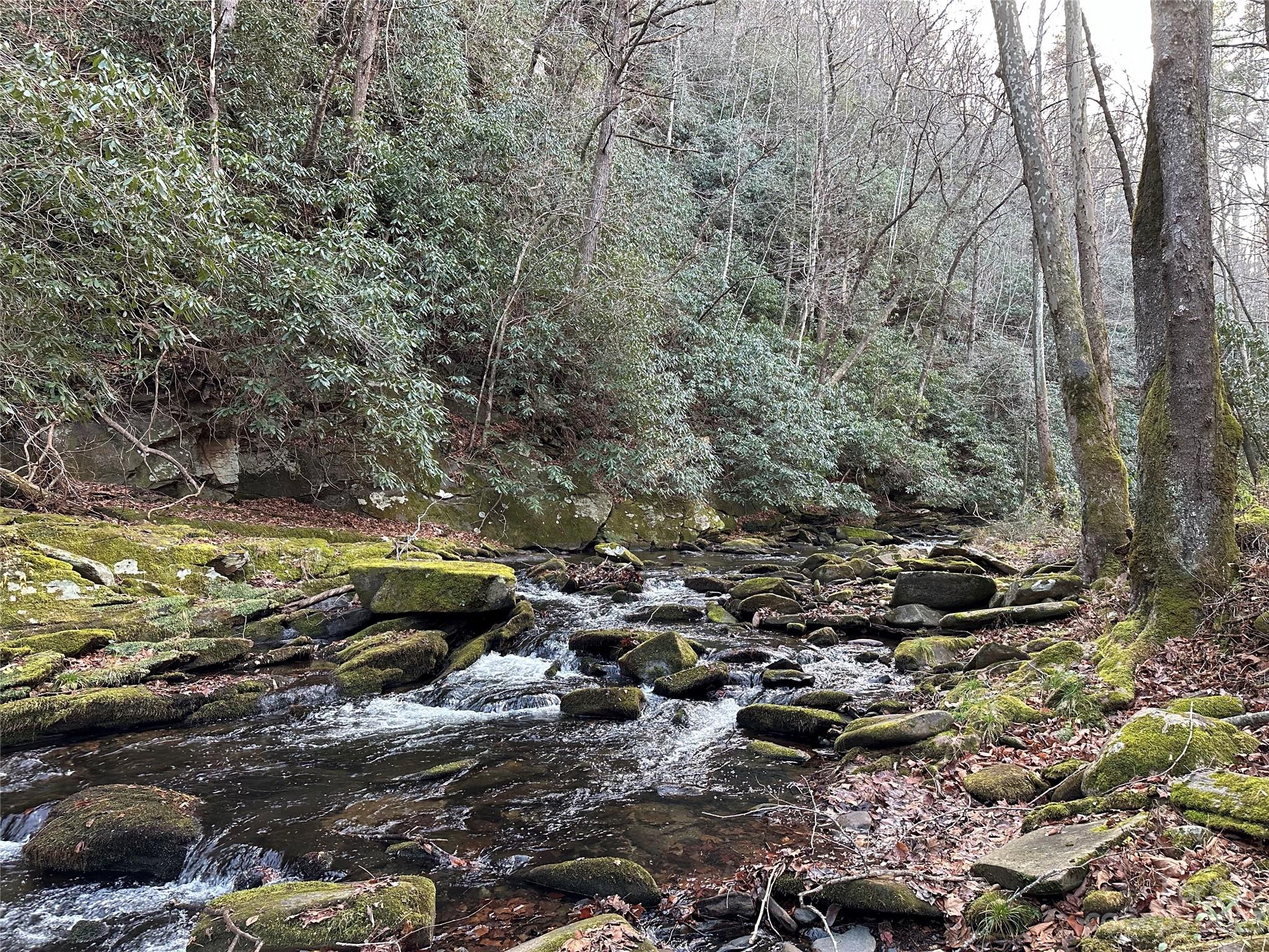 1363 Armstrong Creek Road Marion NC 28752