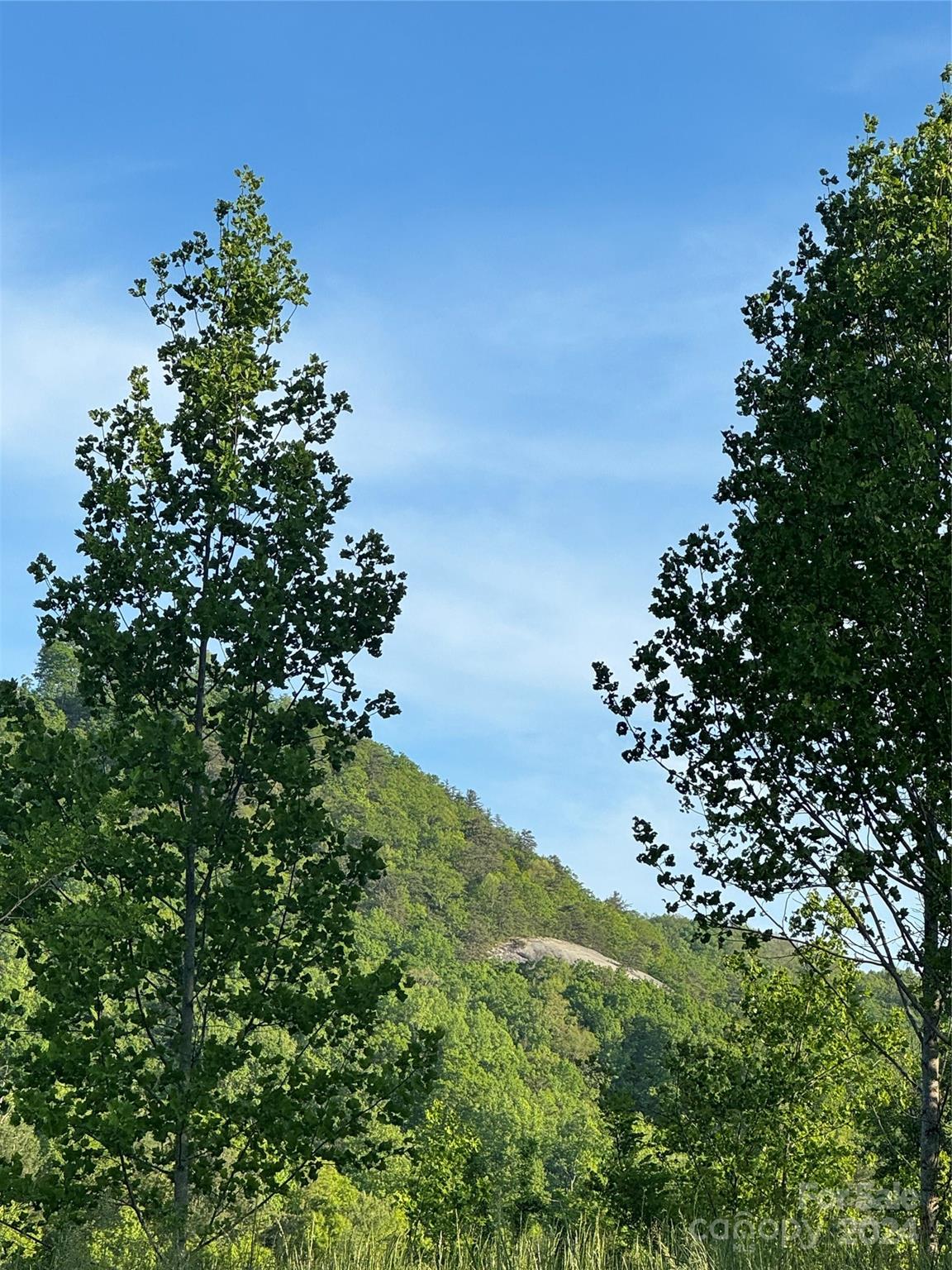 0 Waterfall Ridge Drive Hendersonville NC 28792