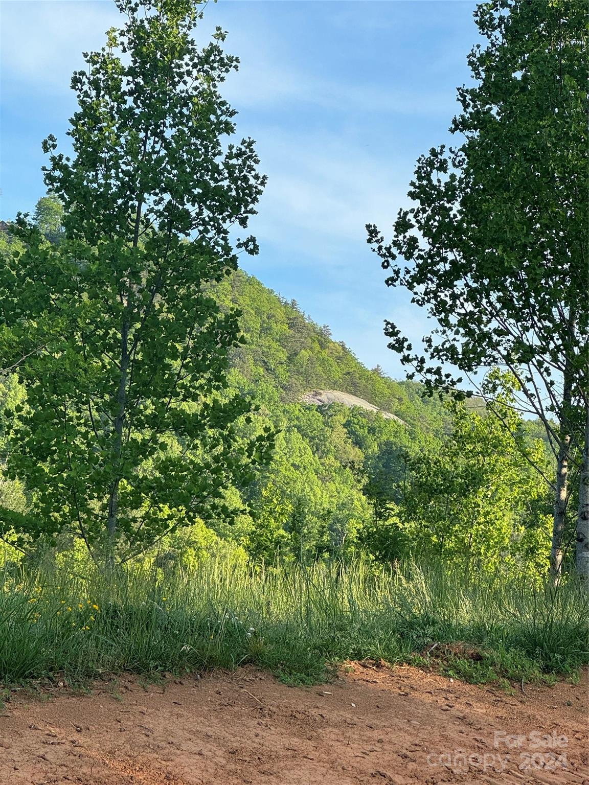 0 Waterfall Ridge Drive Hendersonville NC 28792