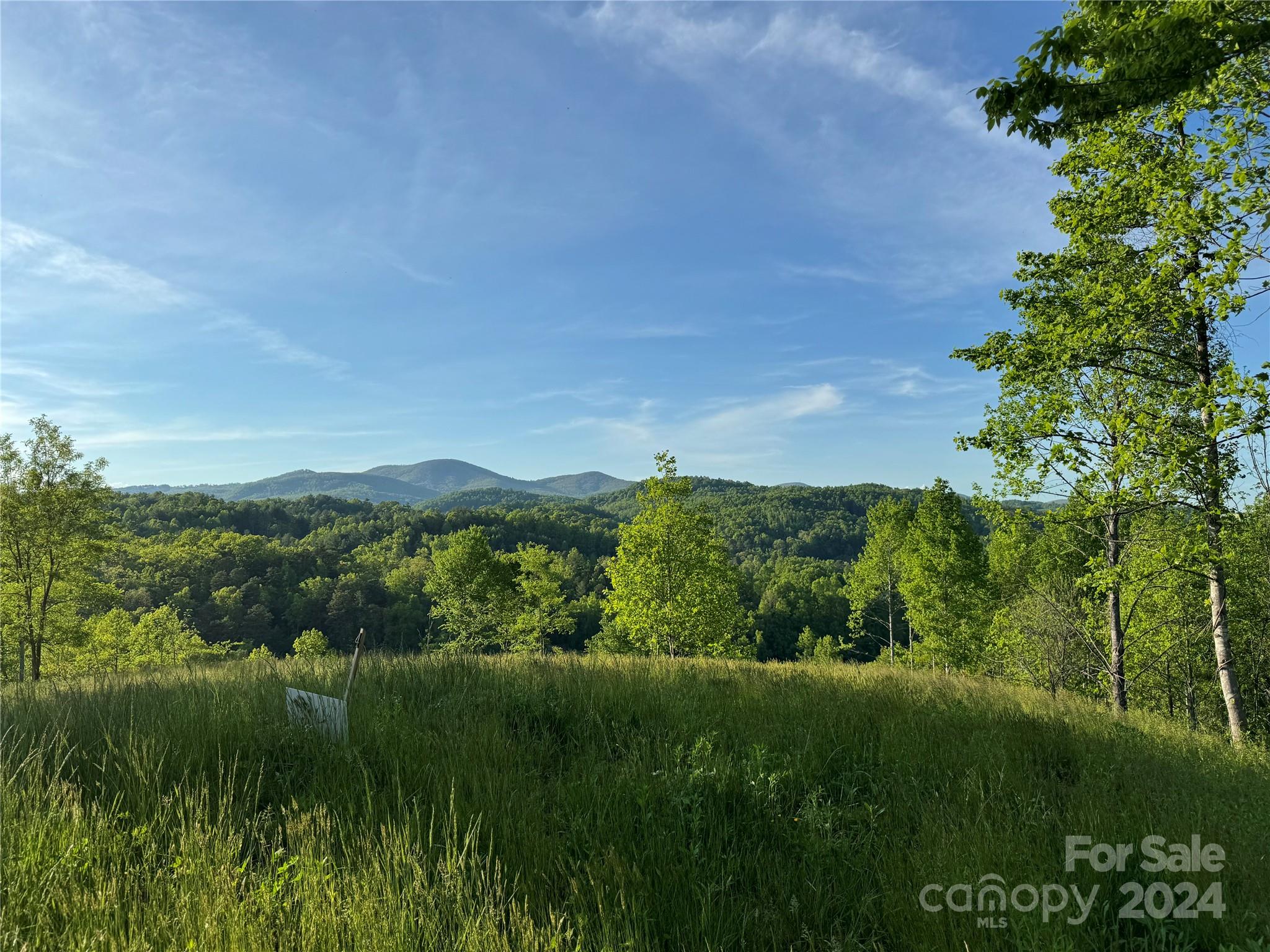 0 Waterfall Ridge Drive Hendersonville NC 28792