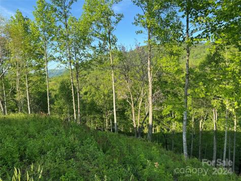 0 Waterfall Ridge Drive Hendersonville NC 28792