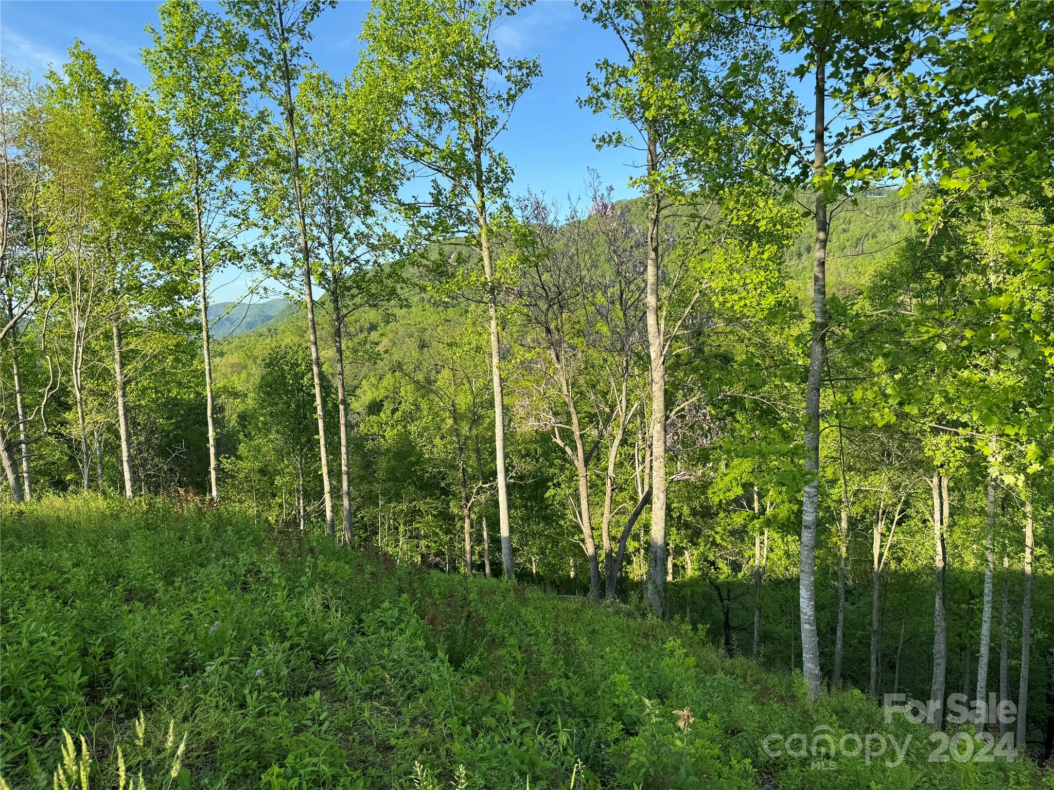 0 Waterfall Ridge Drive Hendersonville NC 28792
