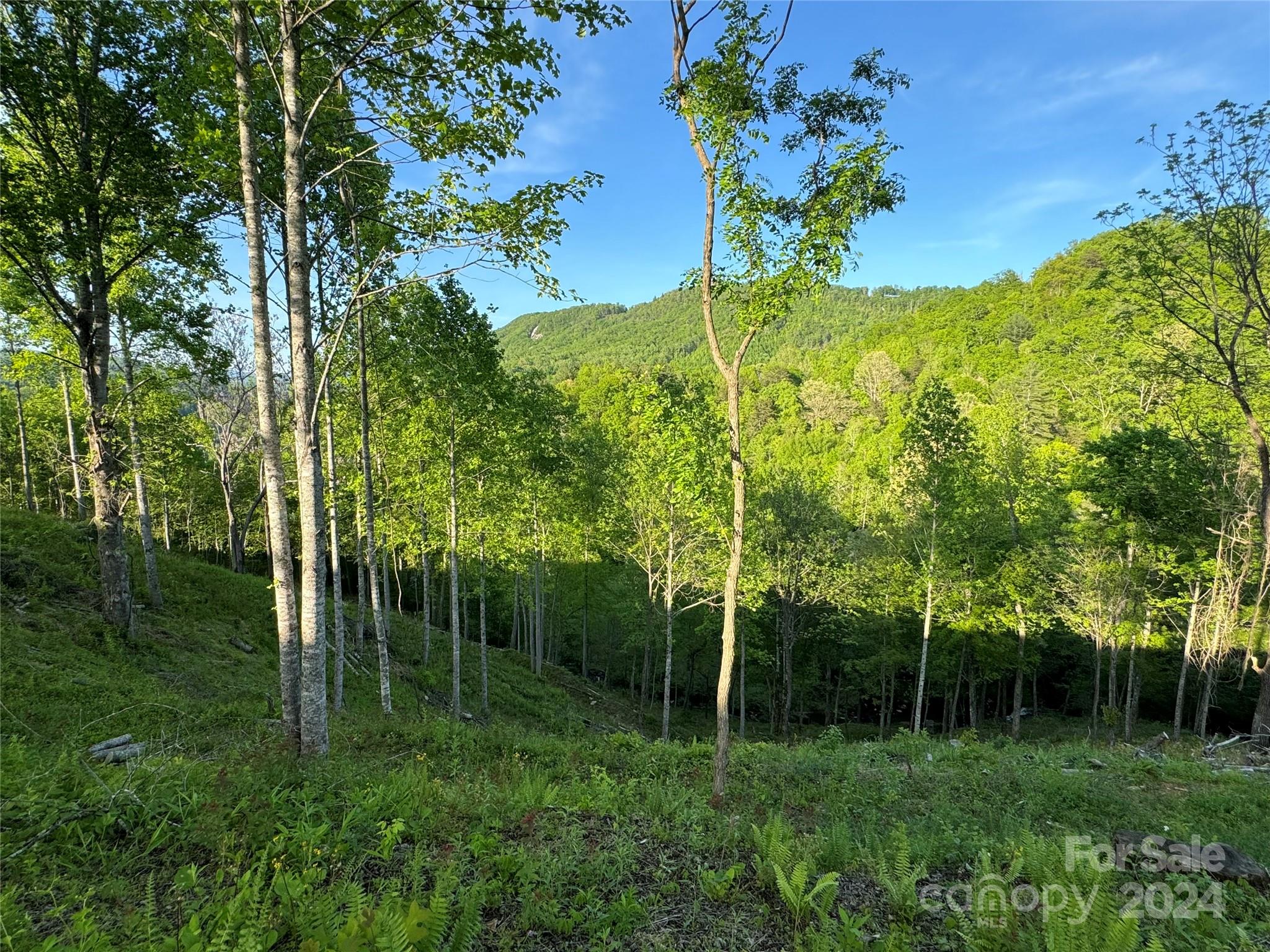 0 Waterfall Ridge Drive Hendersonville NC 28792