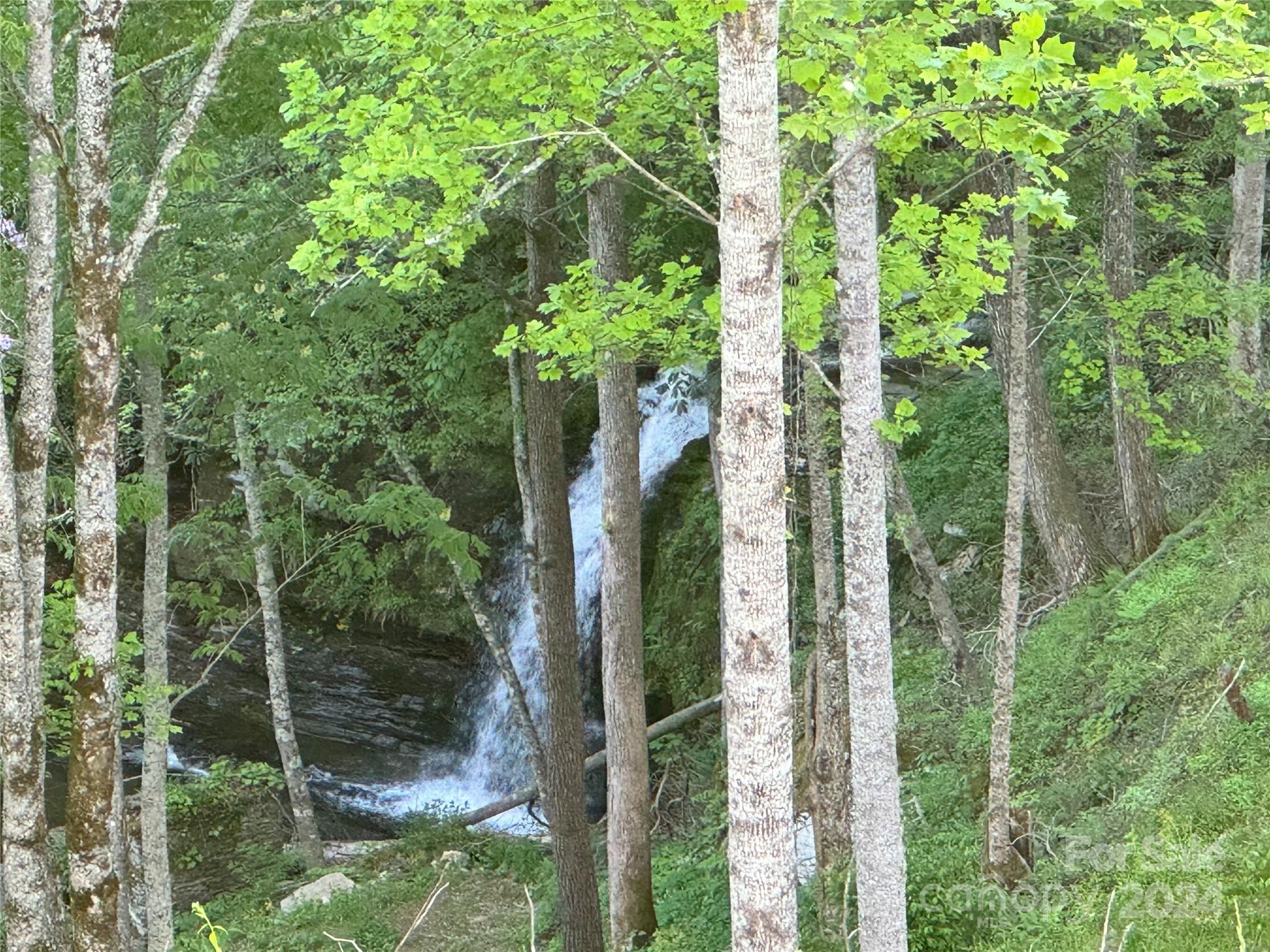 0 Waterfall Ridge Drive Hendersonville NC 28792