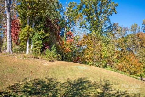 Lot 1 Cadence Circle Brevard NC 28712