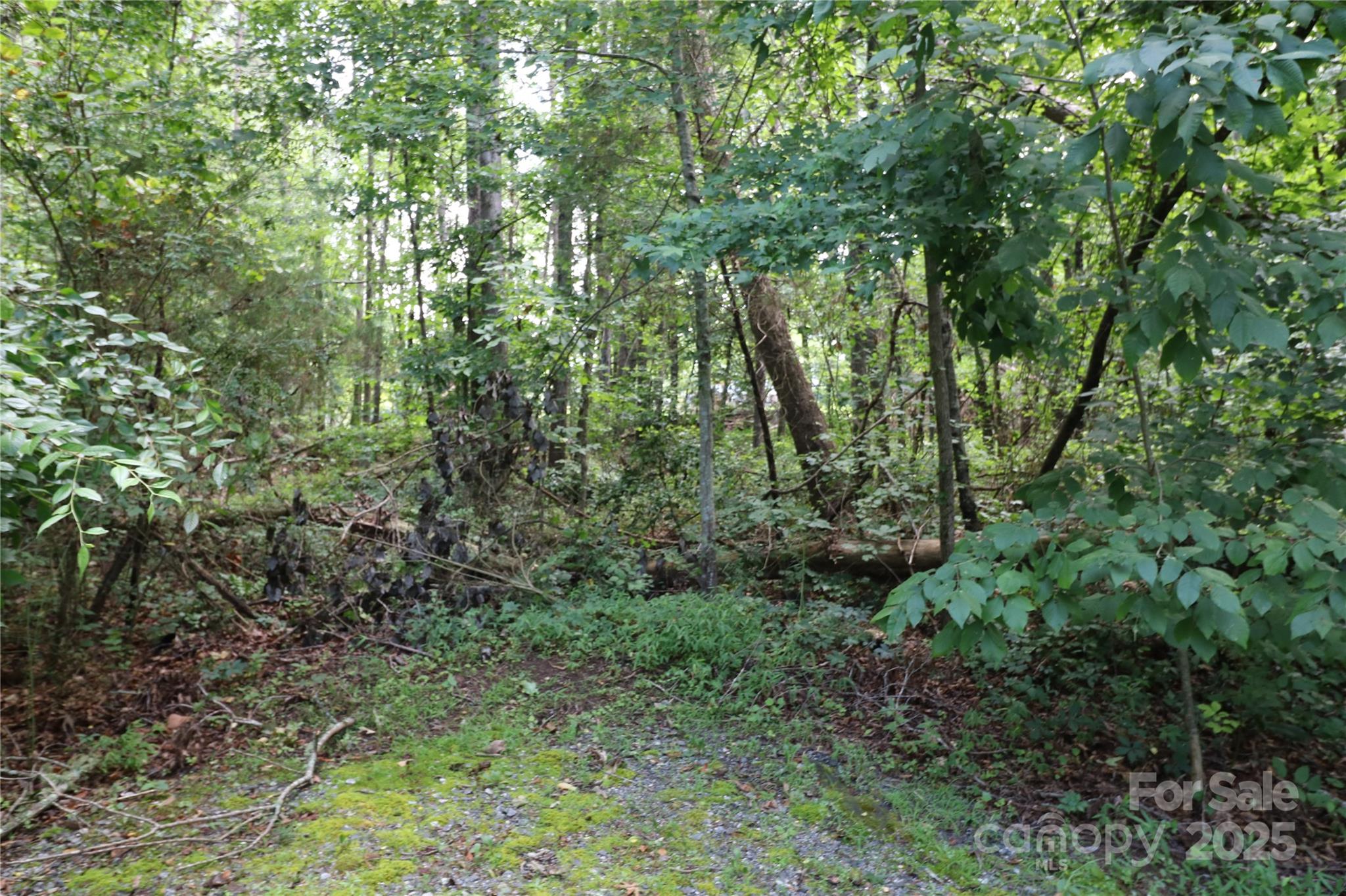 0 Shady Nook Circle Forest City NC 28043