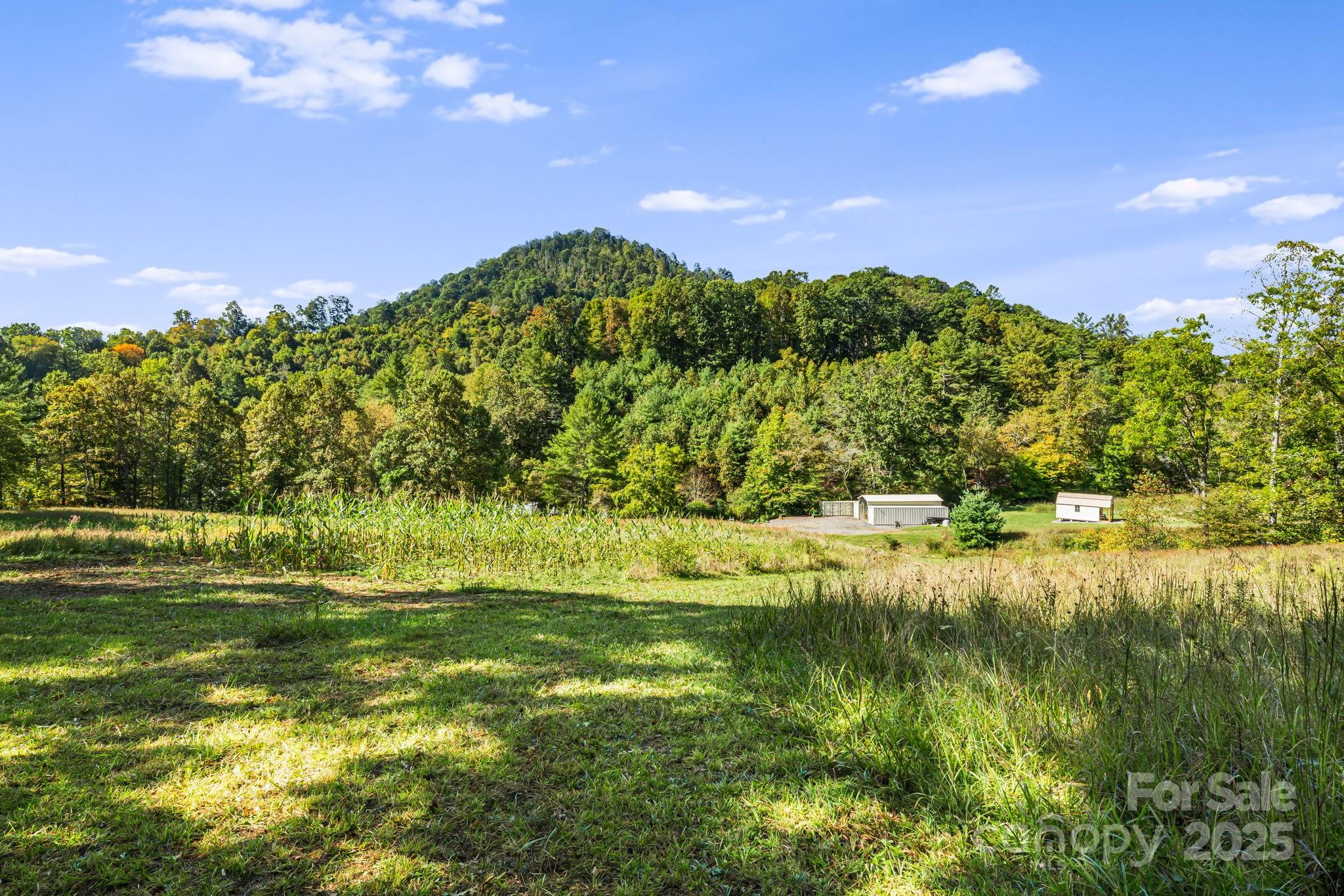 456 Maney Branch Road Burnsville NC 28714