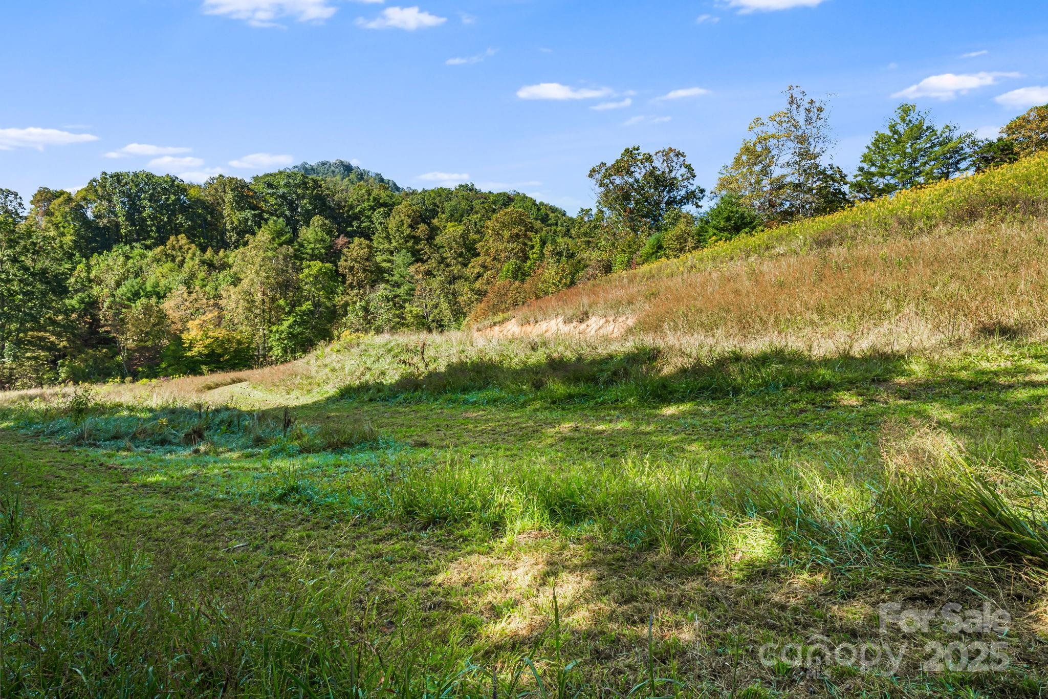 456 Maney Branch Road Burnsville NC 28714