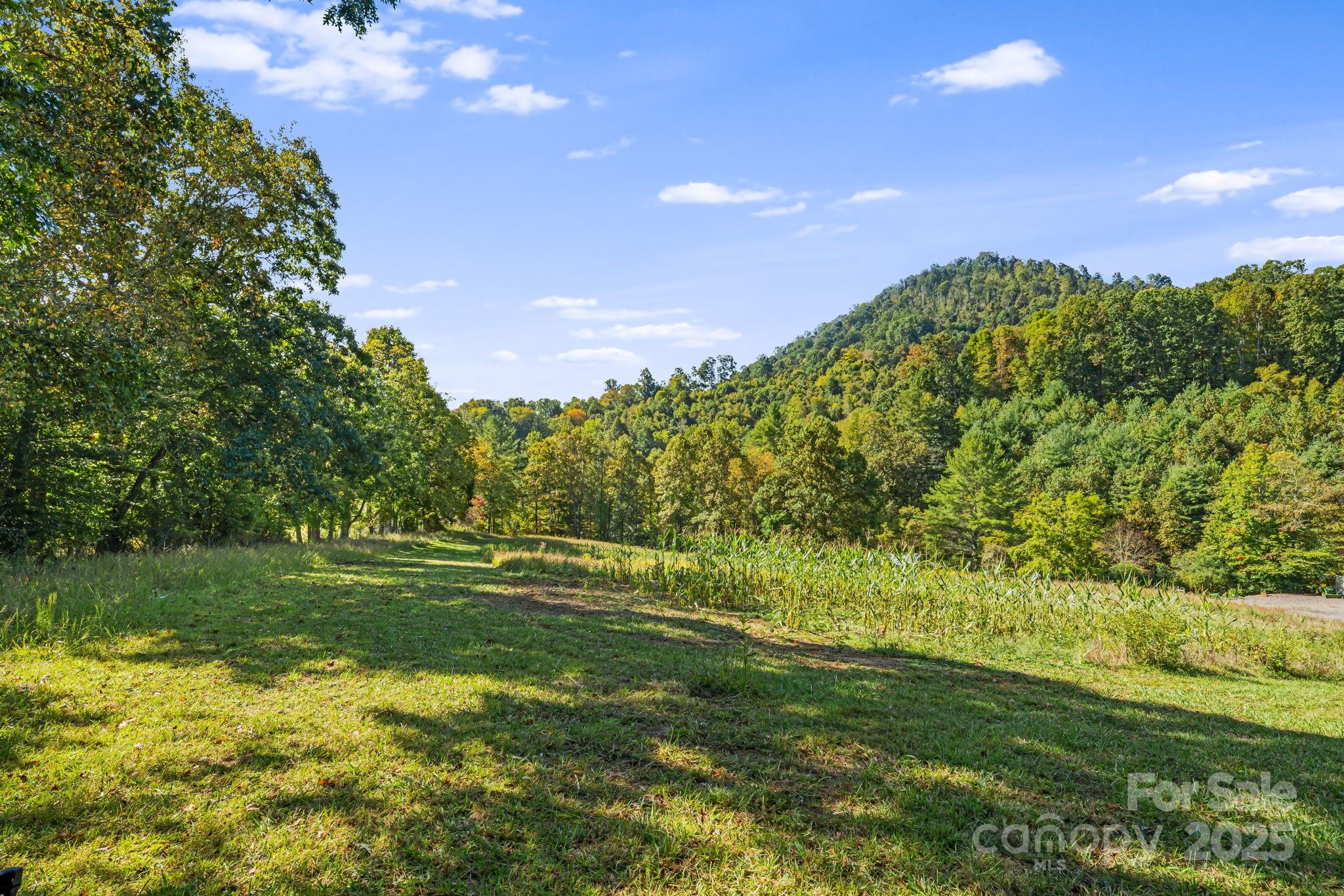 456 Maney Branch Road Burnsville NC 28714
