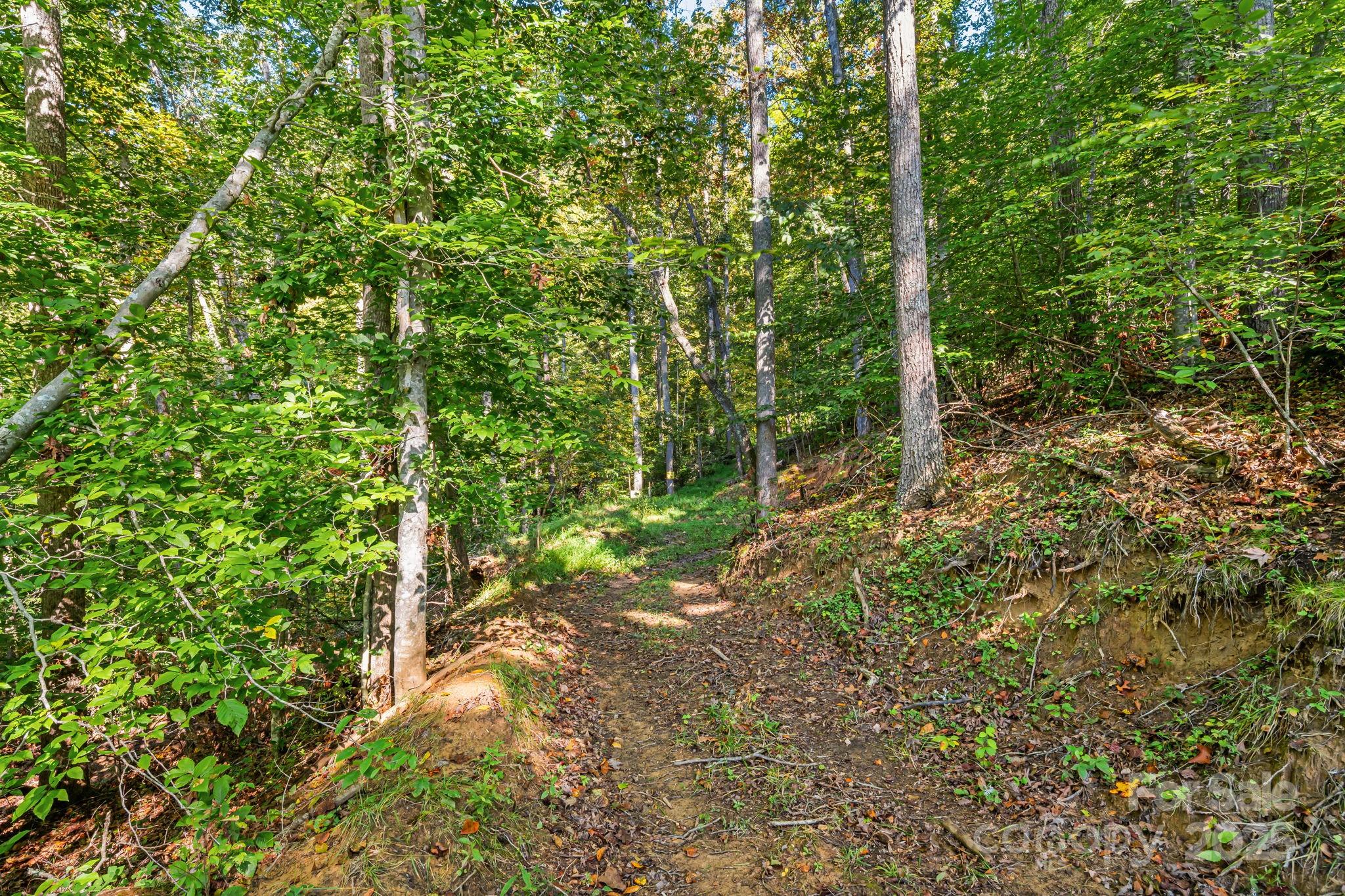 456 Maney Branch Road Burnsville NC 28714
