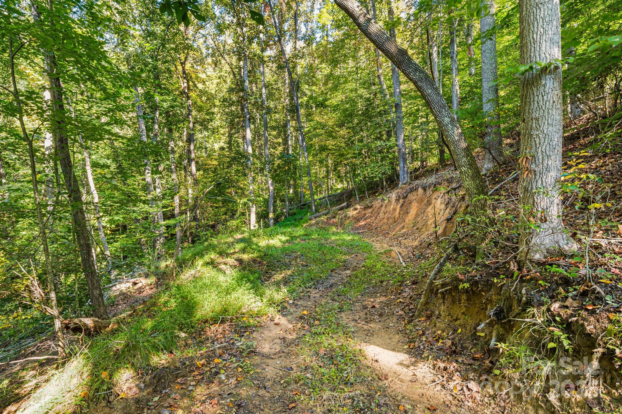 456 Maney Branch Road Burnsville NC 28714