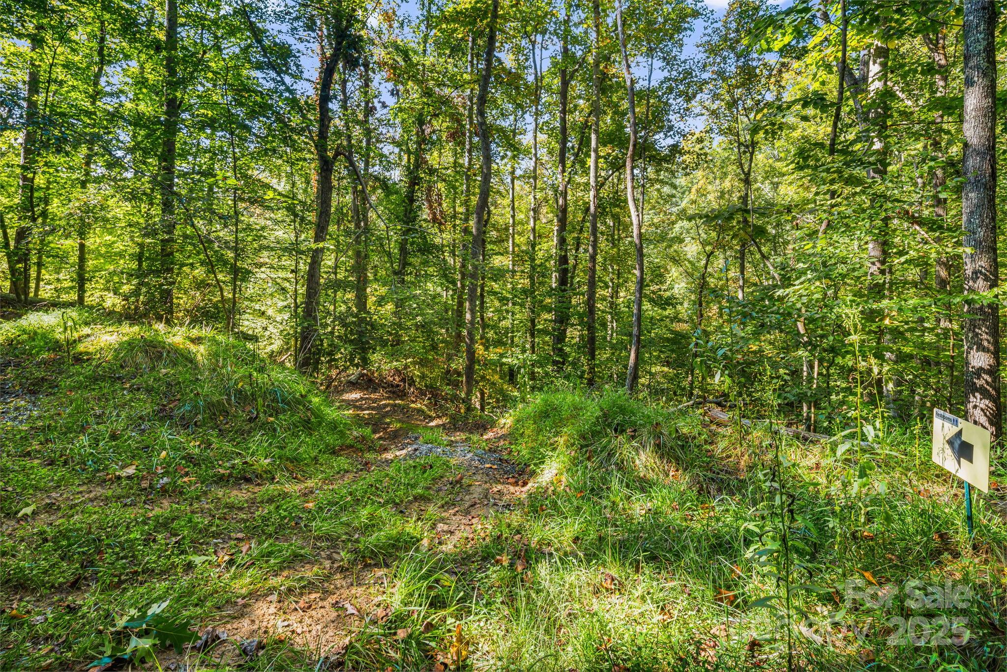 456 Maney Branch Road Burnsville NC 28714