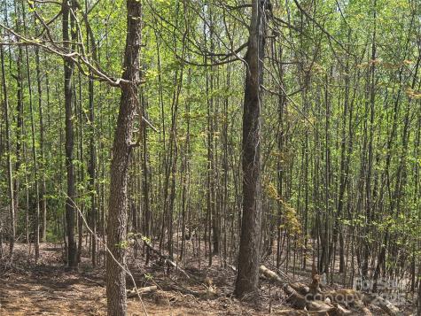 Lot 16 High Rock Ridge Lake Lure NC 28746
