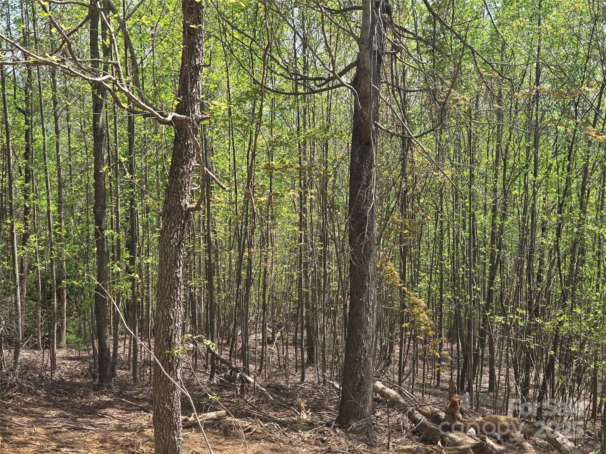 Lot 16 High Rock Ridge Lake Lure NC 28746