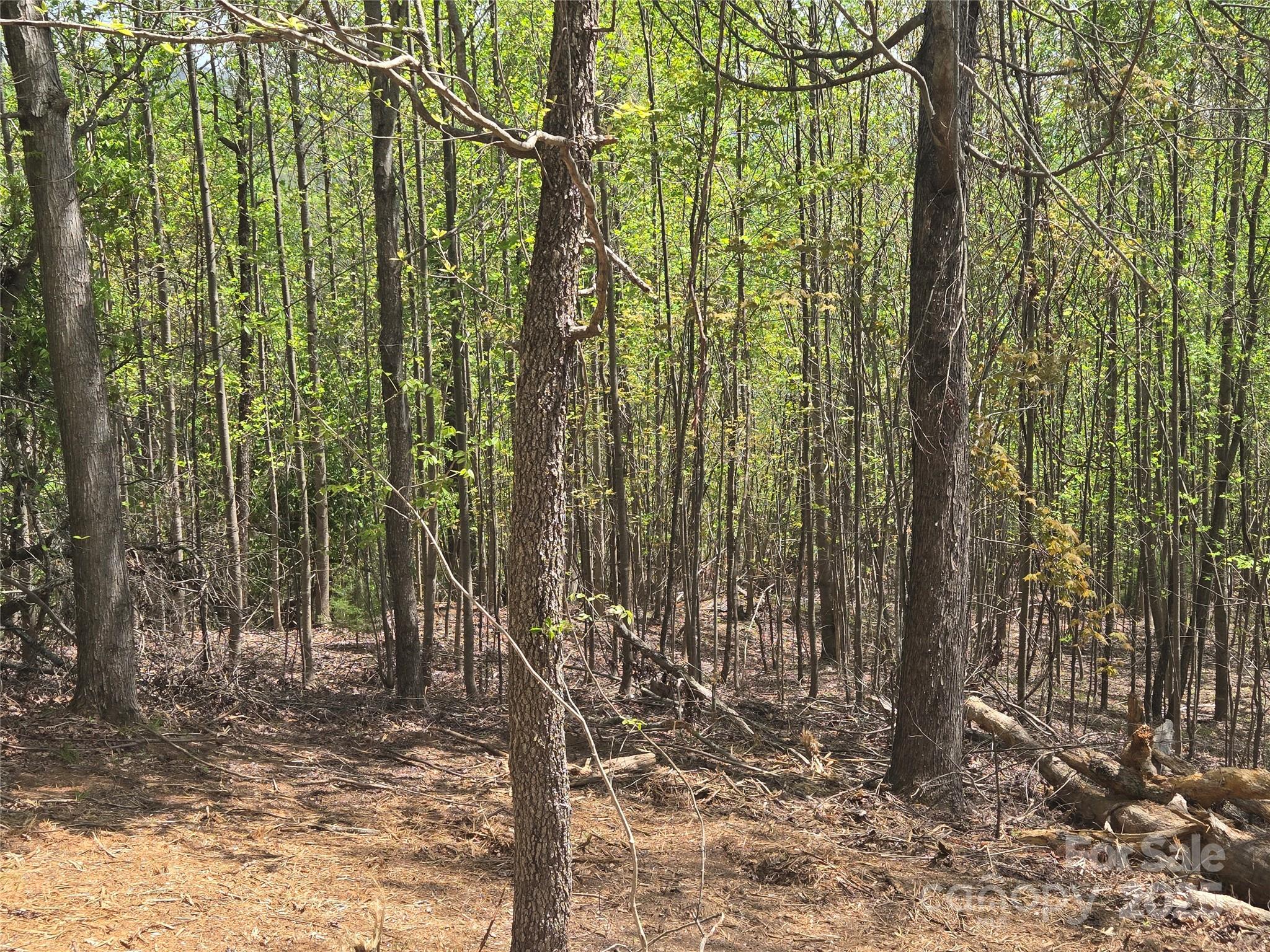 Lot 16 High Rock Ridge Lake Lure NC 28746