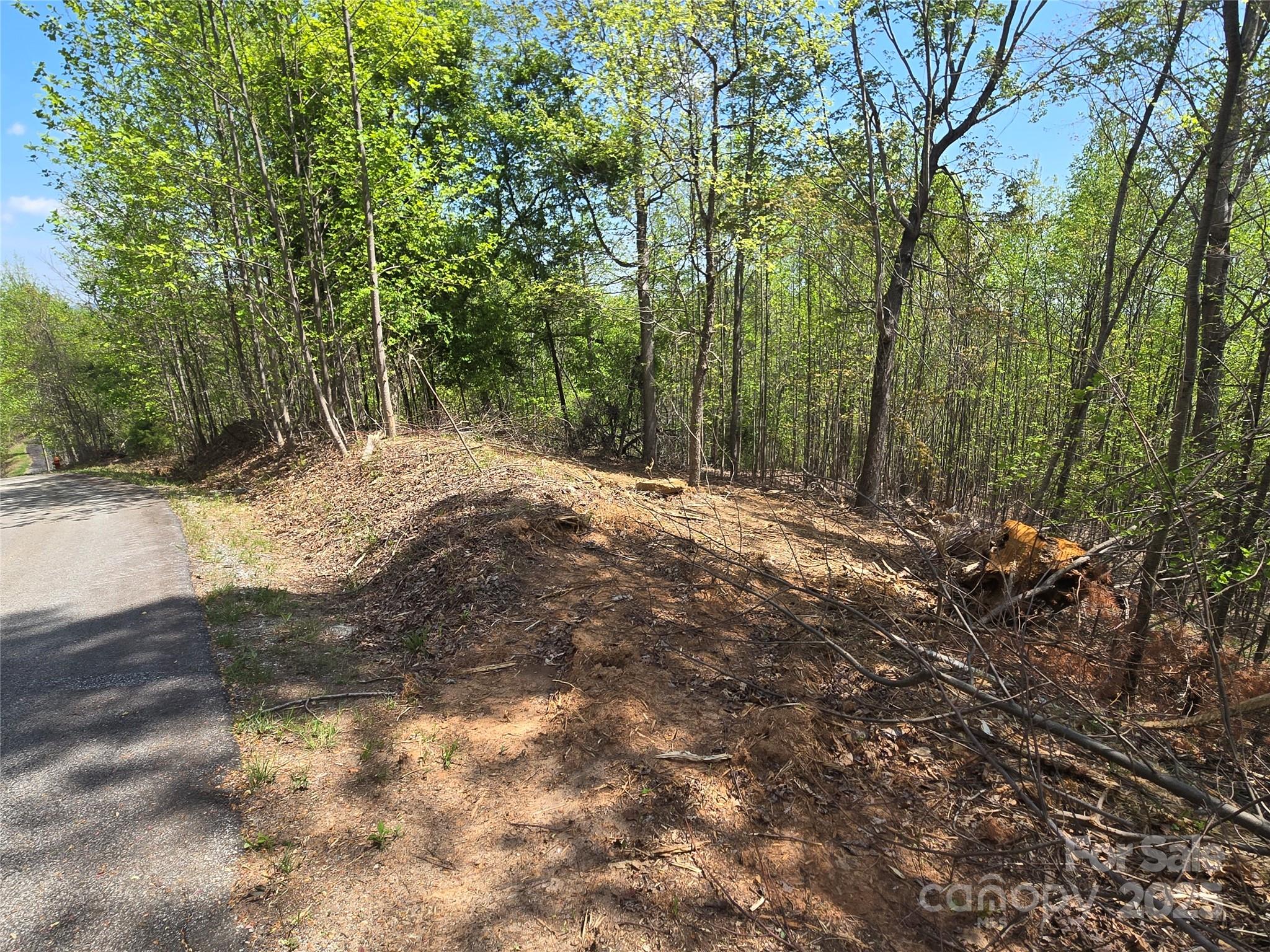 Lot 16 High Rock Ridge Lake Lure NC 28746