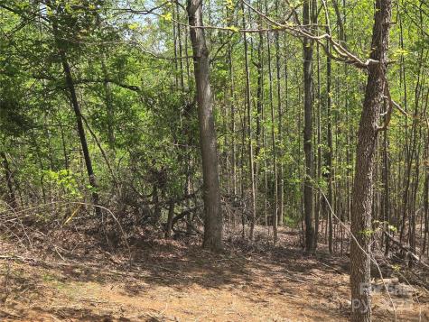 Lot 16 High Rock Ridge Lake Lure NC 28746