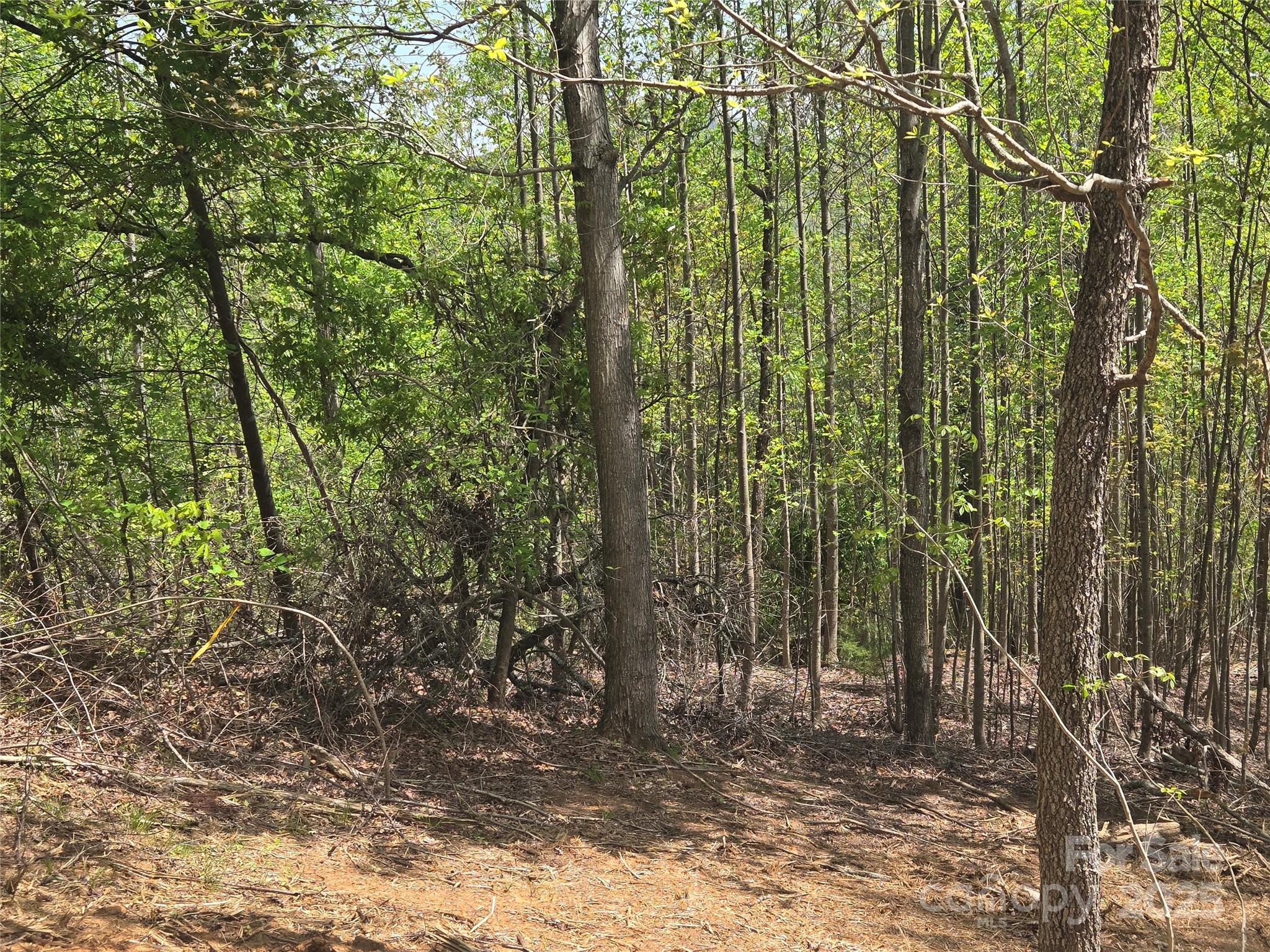 Lot 16 High Rock Ridge Lake Lure NC 28746