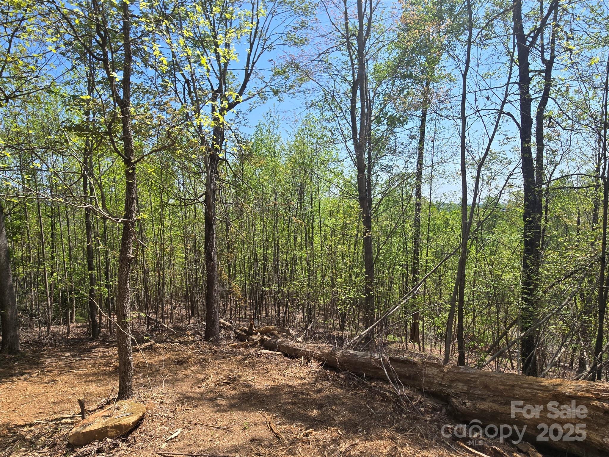 Lot 16 High Rock Ridge Lake Lure NC 28746