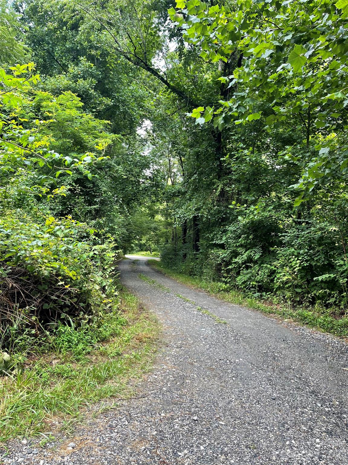 187 Dula Springs Road Weaverville NC 28787