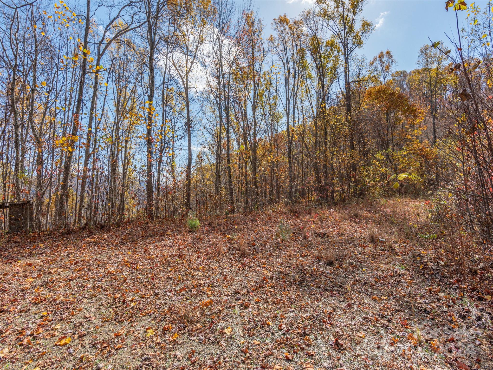 0 Mcnary Drive Clyde NC 28721